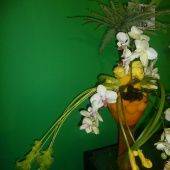 OASIS RAINBOW мини-шарик слоновая кость