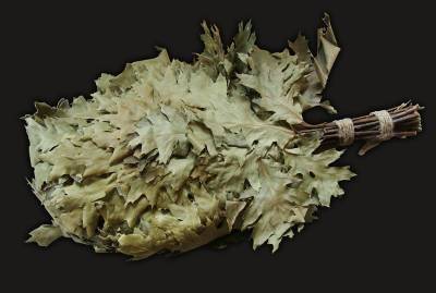 Веник из канадского дуба