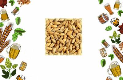 Солод Пшеничный светлый Pale Wheat Weyermann Горец