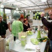 Купити Купити OASIS RAINBOW Мини-шарик уголь в Україні в Україні