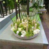 Купити Купити OASIS RAINBOW Мини-шарик уголь в Україні в Україні