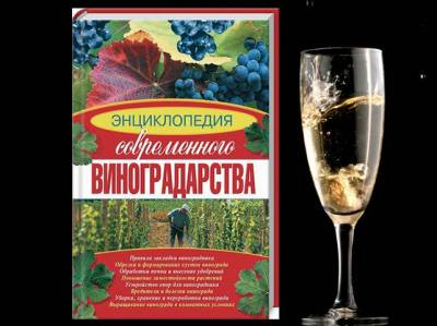 Энциклопедия современного виноградарства