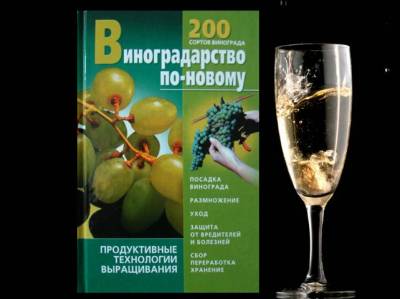 Виноградарство по-новому