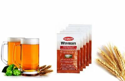 Набор пивных дрожжей Danstar Windsor Dry Yeast 10 шт Зюйд