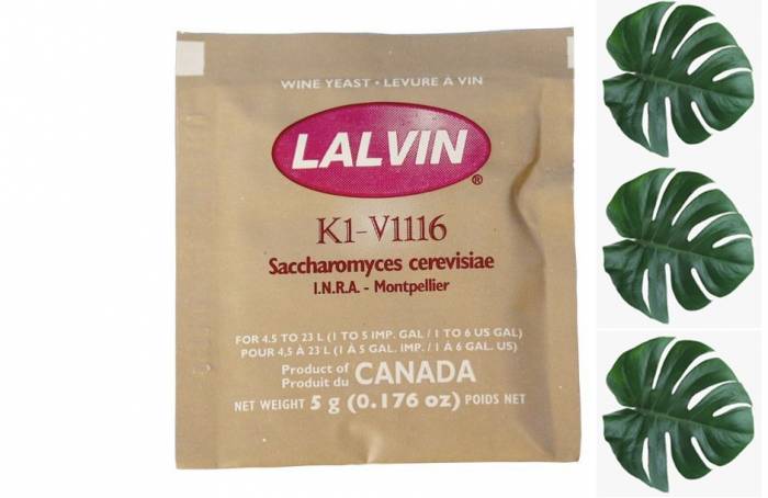 Винные дрожжи Lalvin K1 V1116   5 грамм Фиербах