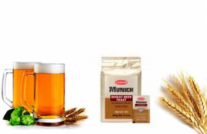 Купить Дрожжи Danstar Munich Wheat 11 гр Серов