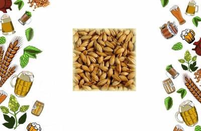 Солод ячменный Шато Мюник Лайт 1 кг Анадело