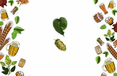 Купить Хмель Northern Brewer 1 кг Новороссийск