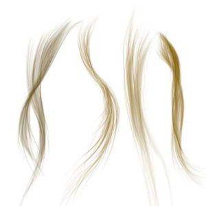 ЧУВСТВИТЕЛЬНЫЙ ЭЛЕМЕНТ К ГИГРОМЕТРУ М-19