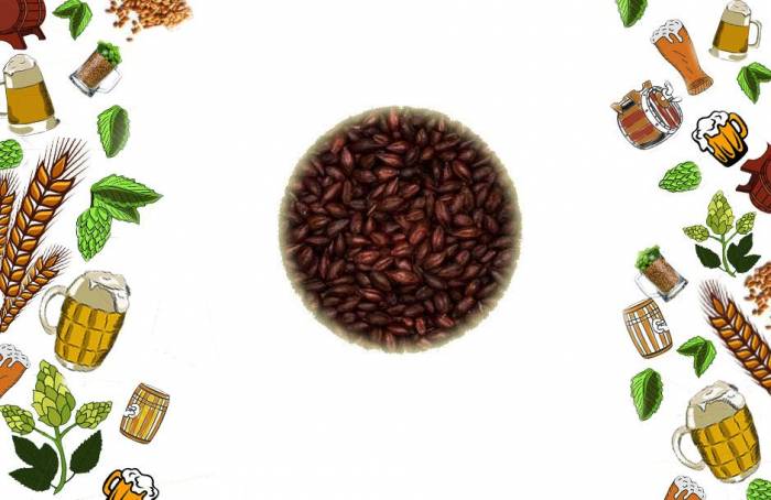 Купити Купити Солод специальный Шоколадный Пшеничный Chocolate Wheat  05 кг Анлайв в Україні в Україні