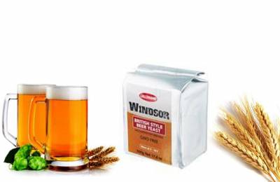 Сухие пивные дрожжи Danstar Windsor Dry Yeast 500 г Игуана