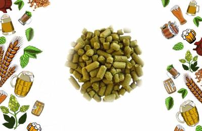 Купить хмель Альта в гранулах Украина 100г в вакууме Арзинка