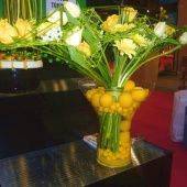 OASIS RAINBOW мини-шарик красный барокко