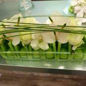 OASIS RAINBOW мини-шарик красный барокко