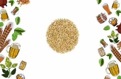 Солод базовый Богемиан Пилснер Pilsner 1 кг Адарон