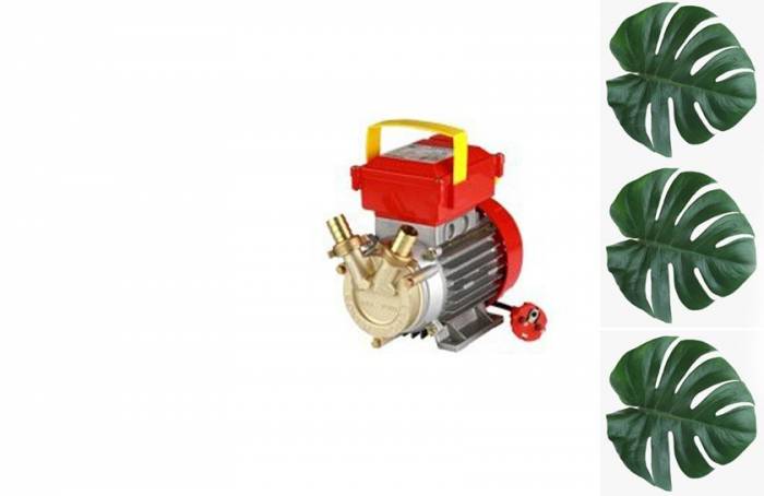 Купити Купити Электрический насос ROVER 30СЕ Фермион в Україні в Україні