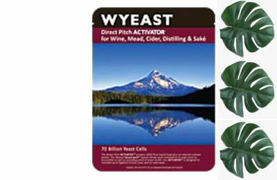Жидкие винные дрожжи Wyeast Chablis Медиатор