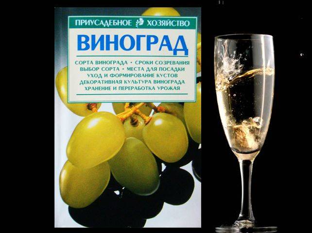 Купити Купити Виноград в Україні в Україні