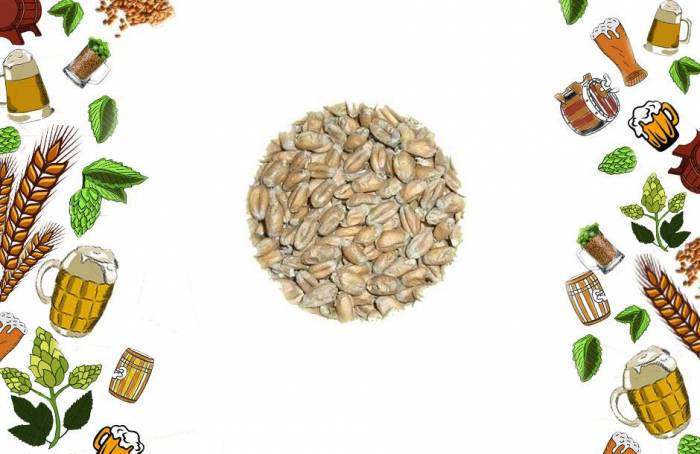 Солод Пшеничный Wheat 1 кг Агдамс