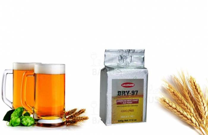 Сухие пивные дрожжи Danstar BRY American West Coast Pale Ale 500 г Идеал