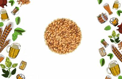 Солод специальный Караамбер Caraamber 1 кг Айвенчор