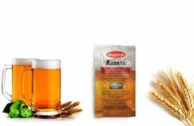 Сухие пивные дрожжи Abbaye Belgian Ale Yeast 500 г Идея