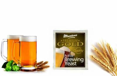 Купить Дрожжи Muntons Prem Gold 6 г Пушкинские Горы