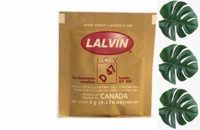 Винные дрожжи для белых и розовых вин Lalvin icv d47