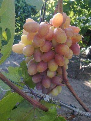 Преображение