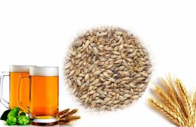 Ячменный солод Меланоидиновый 1 кг Бегония