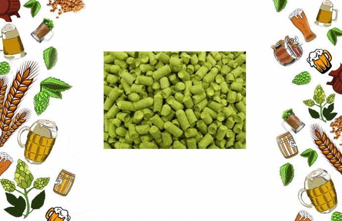 Купити Купити Купить хмель Цитра в гранулах в вакуумной упаковке 25г Базенто в Україні в Україні