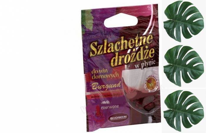 Купити Купити Винные дрожжи Burgund Велюнь в Україні в Україні