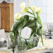 OASIS IDEAL Solo Кольцо