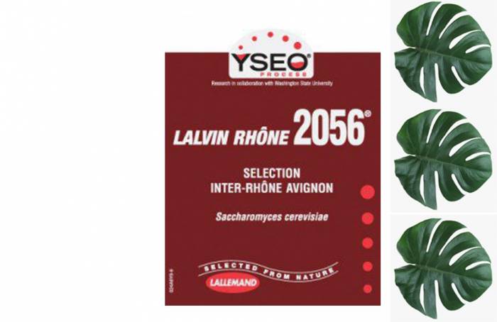 Купити Купити Сухие дрожжи для вина Lalvin Rhone 2056 в Україні в Україні