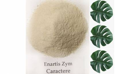 Концентрированный пектолитический фермент Enartis Caractere 2 г
