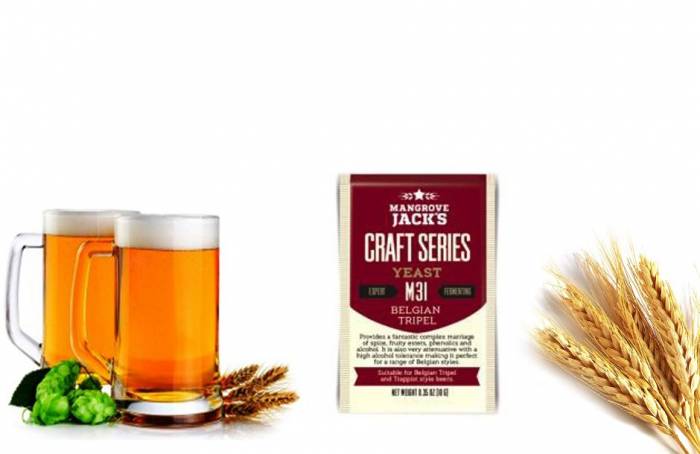 Купити Купити Пивные дрожжи mangrove jacks belgian tripel 10 гр Дечинский в Україні в Україні