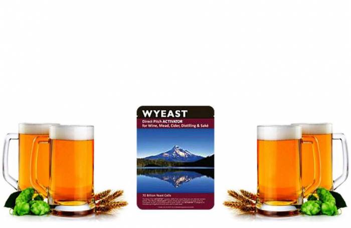 Жидкие дрожжи Wyeast Sweet Mead Калиф