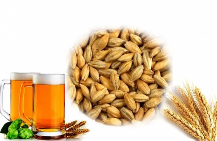 Купити Купити Ячменный солод Pale Ale 1 кг Гвоздика в Україні в Україні