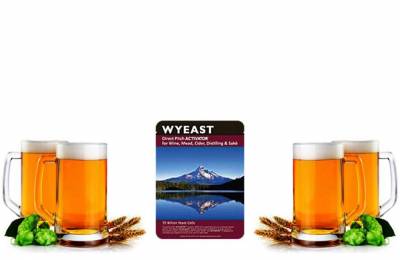 Жидкие дрожжи Wyeast Dry Mead Калифат