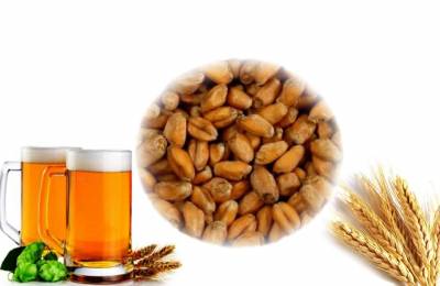 Пшеничный солод 1 кг Гиацинт