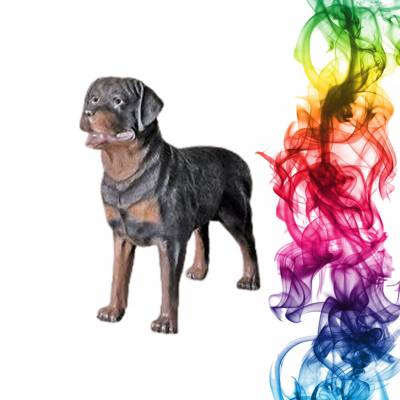 Садовая фигура купить Ротвейлер стоячий высота 80 см ежевика