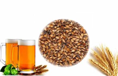 Ячменный солод Карамель 200 1 кг Гортензия