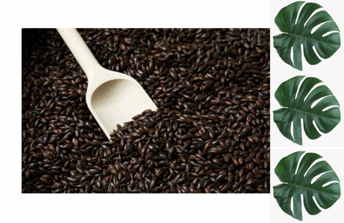 Солод BlackSwaen Coffee 1 кг Змея Декая