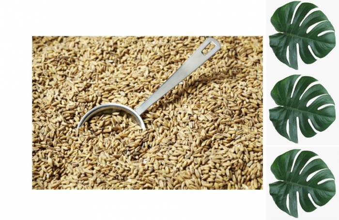 Солод Swaen Ale 1 кг Змея Клеопатры