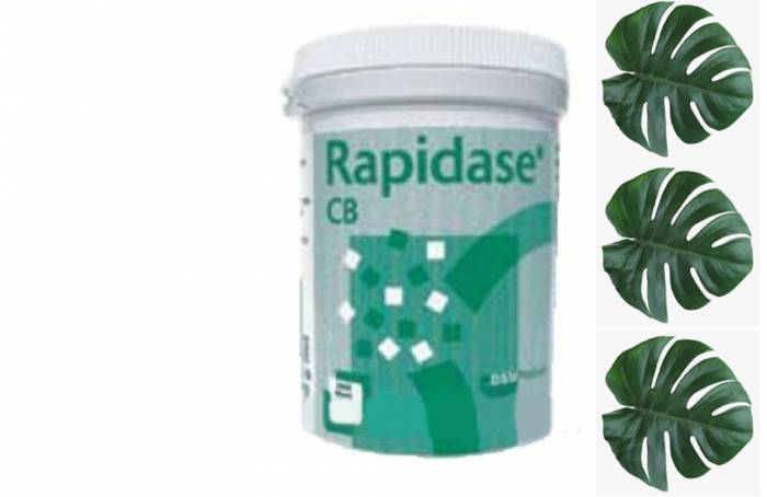 Купити Купити Купить ферментный препарат Rapidase® Сlear 100 г в Україні в Україні