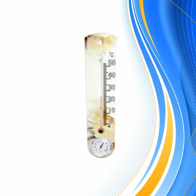Термометр с гигрометром ТГК Герберы