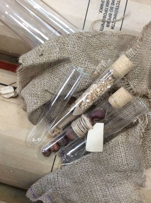 Купити Купити Пробирка для специй 21x200 мм купить пробирку стеклянную Аура в Україні в Україні