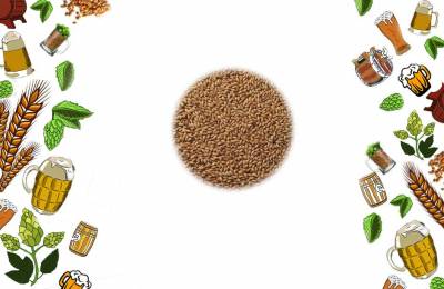 Солод Шато Кара 250 Castle Malting 1 кг Чус