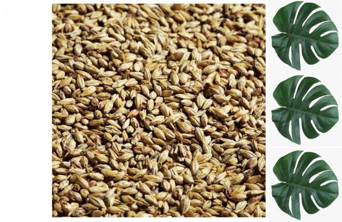 Солод Swaen Lager 1 кг Змея Коллетта