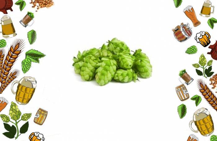 Купить Хмель в шишках Simcoe 50 г Можайск